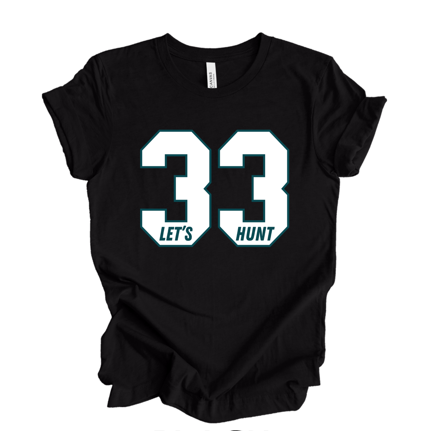 Philadelphia Football Shirt, Philadelphia T-Shirt, Sundays are for the Birds, Philadelphia Shirt, Bird Gang Outfit Tee (Copy)