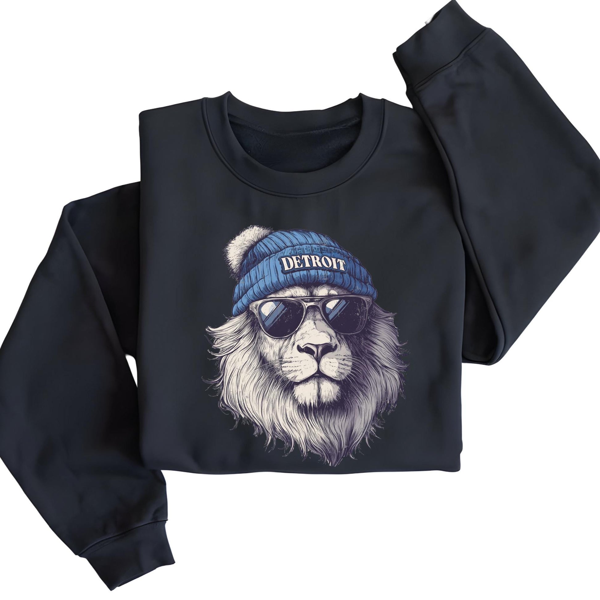 Detroit Football Sweatshirt, Detroit Mascot Sweatshirt, Detroit Football Fan Hoodie, Trendy Game Day Gift, Funday Outfit